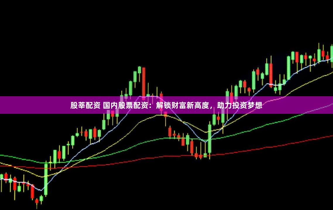 股莘配资 国内股票配资：解锁财富新高度，助力投资梦想