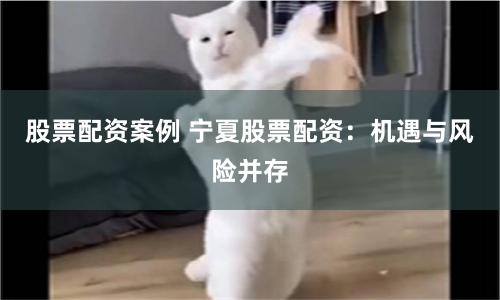 股票配资案例 宁夏股票配资：机遇与风险并存